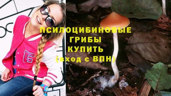 тгк Заволжье