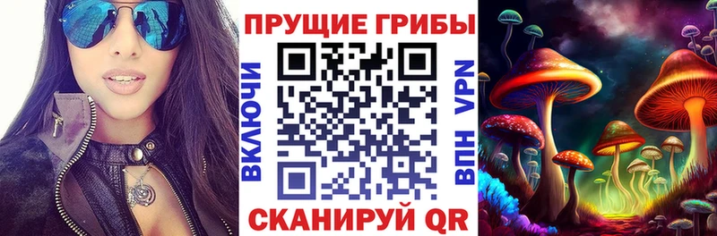 Псилоцибиновые грибы мухоморы  Купить закладки  Мензелинск 